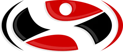 DT Chiropractic logo